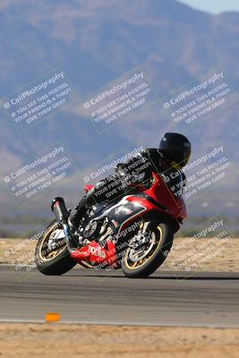 media/Nov-11-2023-SoCal Trackdays (Sat) [[efd63766ff]]/Turn 8 Set 2 (1040am)/